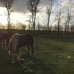 Bremsmaj Farm Gasthuis Kværs