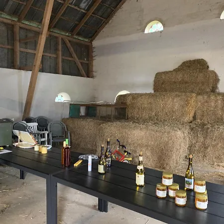 Bremsmaj Farm Kvaers