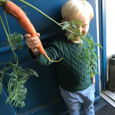 Bremsmaj Farm Kværs