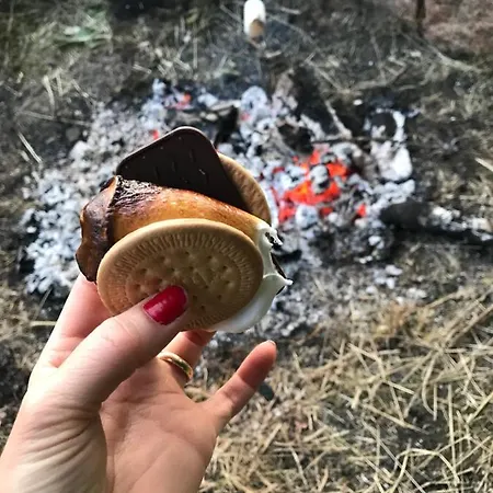 Bremsmaj Farm Pensionat 3*