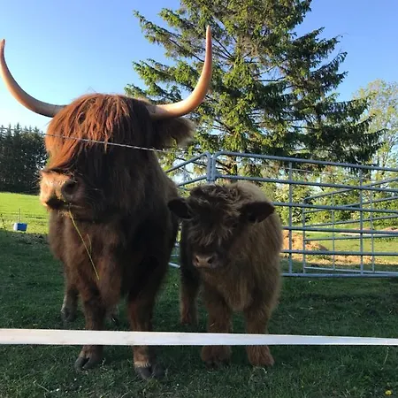 Bremsmaj Farm Pensión 3*