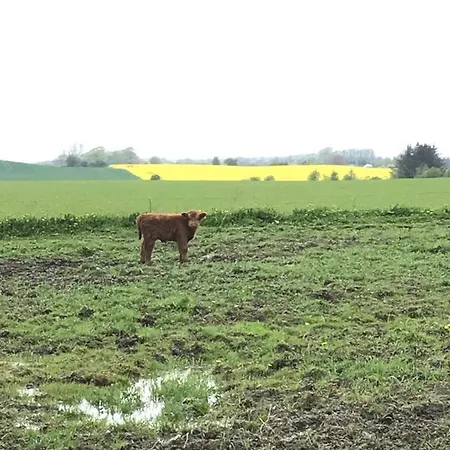 Gasthuis Bremsmaj Farm 2*
