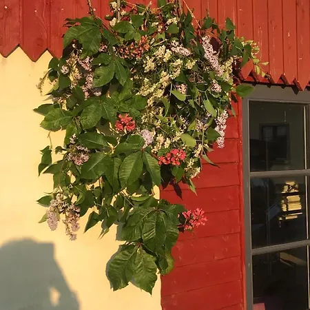 Bremsmaj Farm Pensión 3*