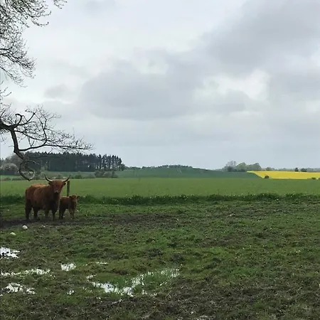 Bremsmaj Farm Kvaers