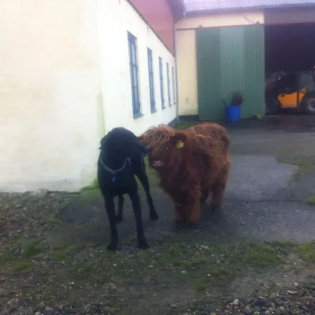 Bremsmaj Farm Gasthof 3*