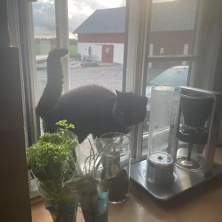 Bremsmaj Farm 게스트하우스 Kværs